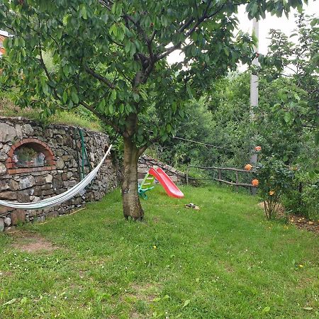 卡萨察利古勒Ca' Olivella别墅 外观 照片
