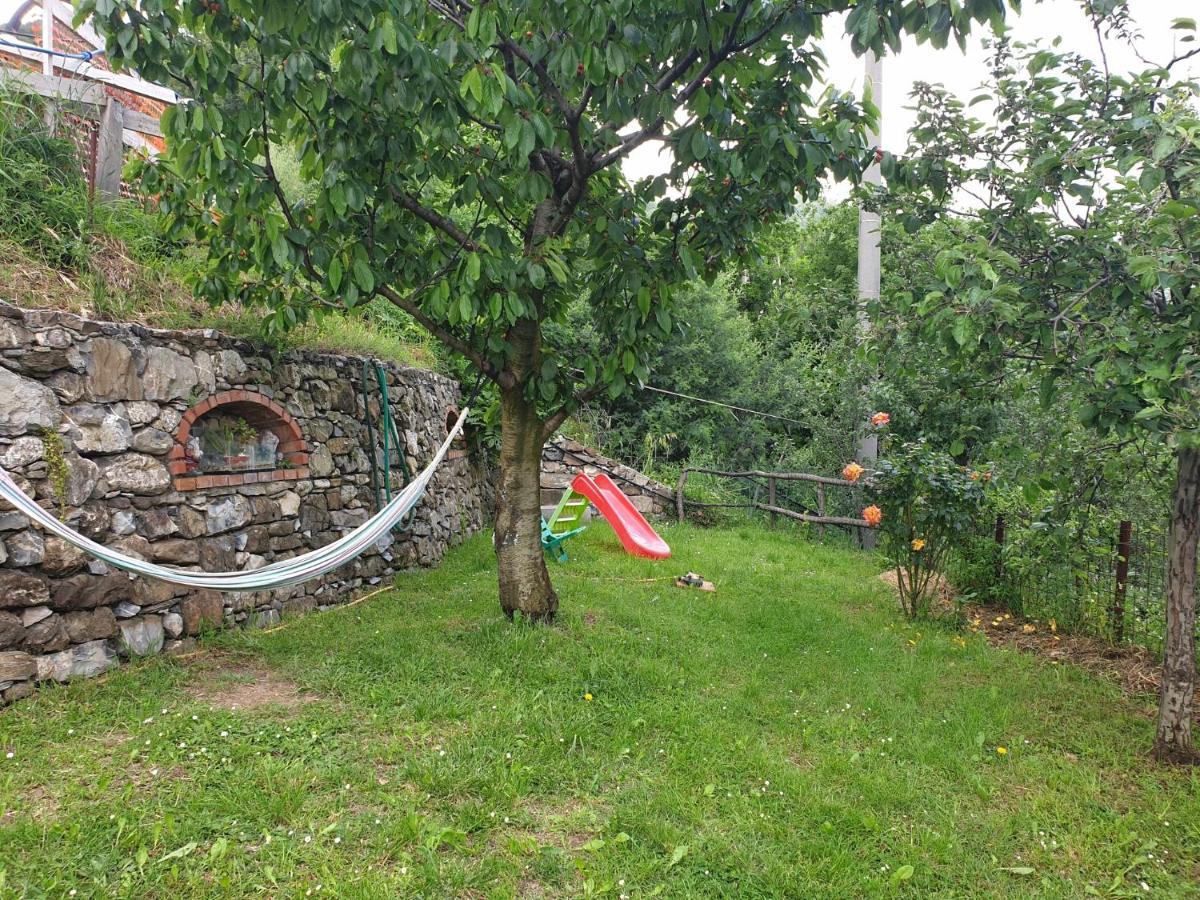 卡萨察利古勒Ca' Olivella别墅 外观 照片