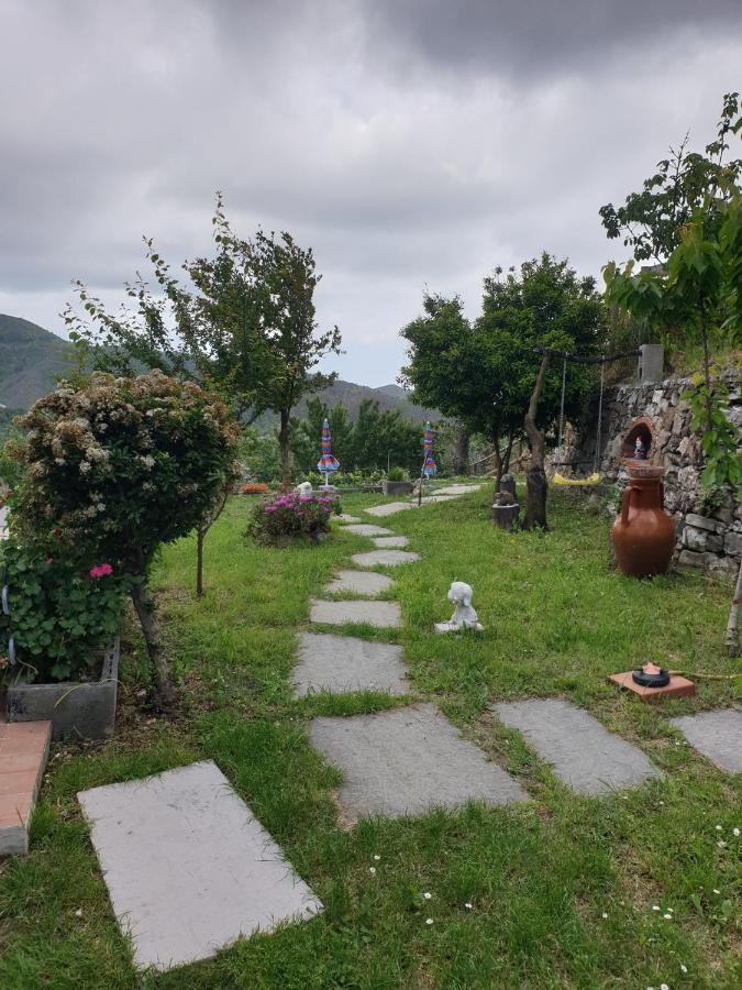 卡萨察利古勒Ca' Olivella别墅 外观 照片